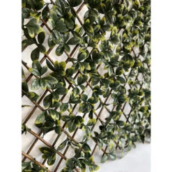 Siepe Artificiale Pitosforo, Grigliato Estensibile UVR 100x200 Cm, 120 Led Ad Energia Solare -Vendite VIDAXL 100275011 3