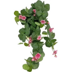 Geraneo Rosso, Foglie 71, Fiori 27, 70 Cm