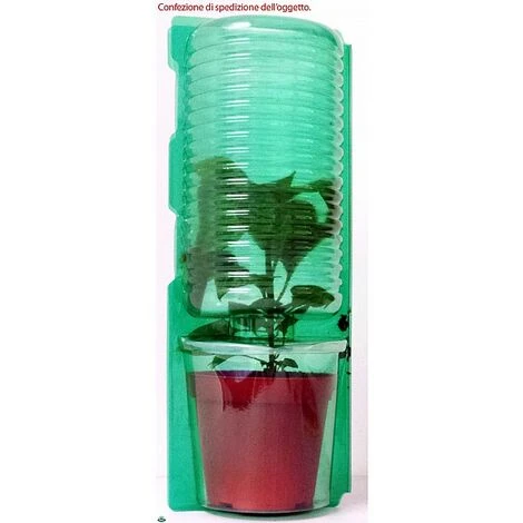 1 PIANTA IN VASO Ø 14CM PEPERONCINO PICCANTE DIAVOLICCHIO CALABRESE ORTOMIO 2 1 PIANTA IN VASO Ø 14CM PEPERONCINO PICCANTE DIAVOLICCHIO CALABRESE ORTOMIO - immagine 2
