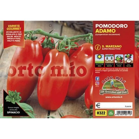 Pomodoro San Marzano E Ovale Adamo F1 - 6 Piante - Orto Mio 1 Pomodoro San Marzano E Ovale Adamo F1 - 6 Piante - Orto Mio