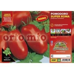 Pomodoro Da Salsa (nano) Super Roma H1538 F1 - 6 Piante - Orto Mio