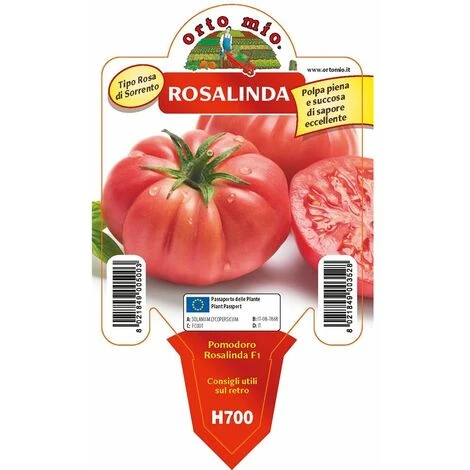 Pomodoro Gigante Sorrentone Rosalinda F1 - 1 Pianta V.10 Cm - Orto Mio 1 Pomodoro Gigante Sorrentone Rosalinda F1 - 1 Pianta V.10 Cm - Orto Mio