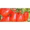Pomodoro Datterino