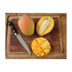 PIANTA DI MANGIFERA INDICA MANGO GLENN INNESTATA FOTO REALI H 140CM -Vendite VIDAXL 18734230 4