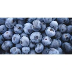 Mirtillo Gigante Americano Frutti Di Bosco Pianta Gia' Fruttifera In Vaso 11 Cm Non Specificato 11 Cm -Vendite VIDAXL 19484473 3