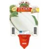 Melanzana Bianca Clara F1 - 1 Pianta Vaso Da 10 Cm - Orto Mio