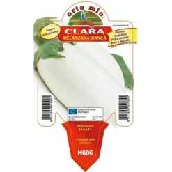 Melanzana Bianca Clara F1 - 1 Pianta Vaso Da 10 Cm - Orto Mio