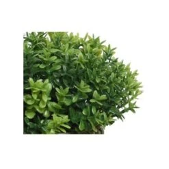 Pianta Verde Artificiale In Vaso 16 Cm -Vendite VIDAXL 21490879 3