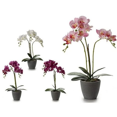 Vaso Grigio (17 X 48 X 34 Cm) 1 Vaso Grigio (17 X 48 X 34 Cm)