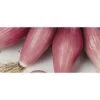 Cipolla Rossa Fiascona