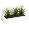 ATMOSPHERA Centrotavola - 3 Aloe Vera - H 17 Cm