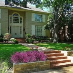 SOEKAVIA 4 Pezzi Gypsophila Artificiale 7 Rami Fiori Artificiali Arbusto Artificiale Cespuglio Fiori Finti Decorazione Viola Per La Casa E Giardino Di Nozze -Vendite VIDAXL 35821326 4