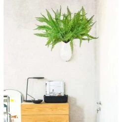 SOEKAVIA 3 Pezzi Arbusti Di Piante Di Felce Di Boston Artificiale Cespugli Verdi Per Interni Esterni Giardino Di Casa Ufficio Portico Decorazioni Per Matrimoni -Vendite VIDAXL 35821457 4