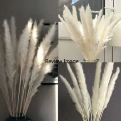 SOEKAVIA 30 Pezzi Di Piccola Erba Di Pampa Essiccata Naturale, Phragmites Communis, Bouquet Da Sposa E Fotografico Per L'arredamento Della Casa (bianco, 30 Pezzi) -Vendite VIDAXL 36248090 5