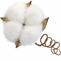 SOEKAVIA Ramo Di Cotone Tronco Naturale Fattoria Fiori Secchi Rami Di Cotone Pianta Di Cotone Fiori Secchi Artificiali (20 Pezzi) -Vendite VIDAXL 36248116 3