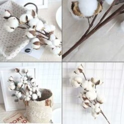 SOEKAVIA 4 Cotton Fioc Bianco Naturale, 10 Cotton Fioc Per Cotton Fioc, 53,3 Cm, Piccozze Di Fiori, Stile Country, Decorazione. -Vendite VIDAXL 36248125 5
