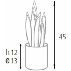 King Home Pianta SANSEVIERIA H. 45 Cm 12 FOGLIE Completa Di Vaso Con Muschio -Vendite VIDAXL 40982766 4