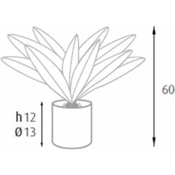 King Home Pianta DRACAENA H. 60 Cm 19 FOGLIE Completa Di Vaso Con Muschio -Vendite VIDAXL 40982777 3