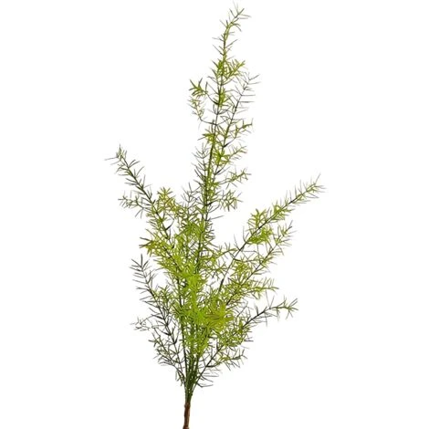 Pianta Artificiale Verde Asparagus Cadente Decorazione Per Interno Da H70 Cm 2 Pianta Artificiale Verde Asparagus Cadente Decorazione Per Interno Da H70 Cm - immagine 2