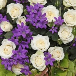 Rosa Bianca Tea Paesaggistica Pianta Di Rose In Vaso 16 Cm -Vendite VIDAXL 53238097 3