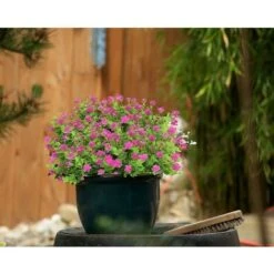 10 Mazzi Di Fiori Artificiali Piante Finte. Arbusti Verdi Resistenti Ai Raggi UV Piante Di Eucalipto Fioriera Sospesa Per Interni Ed Esterni Decorazioni Per Il Giardino Di Casa. Rosso -Vendite VIDAXL 67412290 3