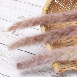 MINKUROW 30 Pezzi Di Erba Di Pampa, Bouquet Di Fiori Secchi Di Pampa Naturale Da 45 Cm Per Vasi, Decorazione Boho Camera Da Letto, Soggiorno, Casa, Decorazione Da Tavola Per Matrimoni -Vendite VIDAXL 69785524 4