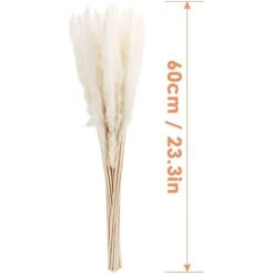 MINKUROW 30 Pz Erba Di Pampa, Erba Di Pampa Naturale Erba Di Pampa Essiccata Erba Phragmites Mazzo Di Fiori Secchi Decorazione Della Casa -Vendite VIDAXL 69789059 5