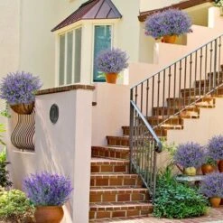 9 Steli Finta Lavanda Viola Pianta Finta Fiori Viola Per La Reception Domestica, L'ufficio, L'arredamento Del Patio O L'arredamento Di Nozze Fai-da-te 9 9 Steli Finta Lavanda Viola Pianta Finta Fiori Viola Per La Reception Domestica, L'ufficio, L'arredamento Del Patio O L'arredamento Di Nozze Fai-da-te -Vendite VIDAXL 71379687 5