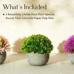 Piante Finte, Set Di Piante Finte Per Interni, 3 Mini Piante Multicolori Realistiche In Vaso, Piantine Finte Decorative In Confezione Regalo E Mobili -Vendite VIDAXL 74098089 2