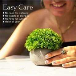 Piante Finte, Set Di Piante Finte Per Interni, 3 Mini Piante Multicolori Realistiche In Vaso, Piantine Finte Decorative In Confezione Regalo E Mobili -Vendite VIDAXL 74098089 4