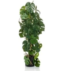 Monstera Artificiale 75 Cm In Vaso Emerald