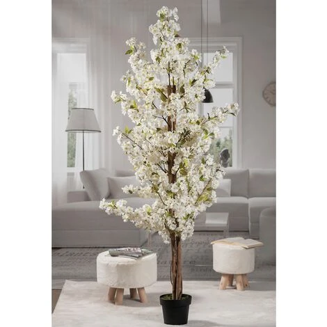 Star PIANTA CILIEGIO VASO X DEC BIANCO D20XH200 1 Star PIANTA CILIEGIO VASO X DEC BIANCO D20XH200