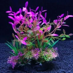 Acquario Artificiale Piante Decorative Erbacce Acquatiche Piante Acquatiche Decorative Serbatoio Di Pesce Erba Accessori Decorativi 14 Cm -Vendite VIDAXL 76983040 5