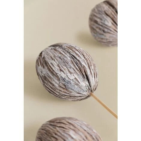 SKLUM Confezione Da 4 Rami Secchi Decorativi Mintola Gris - Madera Natural 4 SKLUM Confezione Da 4 Rami Secchi Decorativi Mintola Gris - Madera Natural - immagine 4