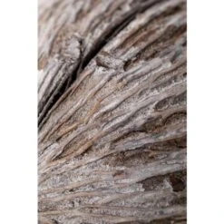 SKLUM Confezione Da 4 Rami Secchi Decorativi Mintola Gris - Madera Natural 9 SKLUM Confezione Da 4 Rami Secchi Decorativi Mintola Gris - Madera Natural -Vendite VIDAXL 77183385 5