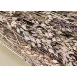 SKLUM Ramo Decorativo Ainala Colori Naturali -Vendite VIDAXL 77183386 4