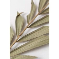 SKLUM Confezione Da 10 Rami Secchi Decorativi Sarat Verde Bambù -Vendite VIDAXL 77183391 4