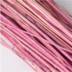 SKLUM Mazzo Di Fiori Secchi Decorativi Bairad Prugna Rosa -Vendite VIDAXL 77183408 4