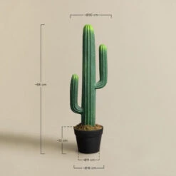 SKLUM Cactus Artificiale Cereus 68 Cm ↑68 Cm 9 SKLUM Cactus Artificiale Cereus 68 Cm ↑68 Cm -Vendite VIDAXL 77183417 5
