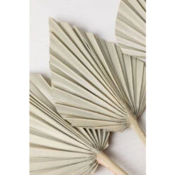 SKLUM Confezione Da 6 Rami Secchi Decorativi Beliefe Verde Bambù -Vendite VIDAXL 77183419 4