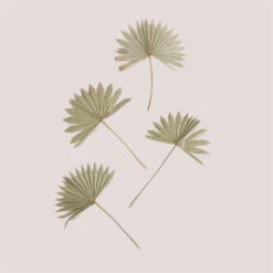 SKLUM Confezione Da 4 Rami Secchi Decorativi Urpek Verde Bambù