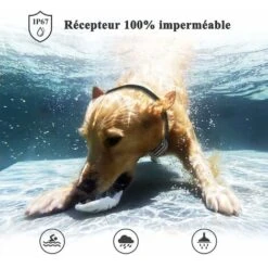 Doppio Collare Da Addestramento Per Cani Ricaricabile, Telecomando Da 1000 M, Blocco Pulsanti E Impermeabile IP67, Collare Elettrico Con Modalità Vibrazione, Shock E Suono - 2 Pezzi (grigio) -Vendite VIDAXL 78584586 5