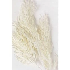 SKLUM Rami Artificiali Ramis Bianco Antico 8 SKLUM Rami Artificiali Ramis Bianco Antico -Vendite VIDAXL 79471574 4