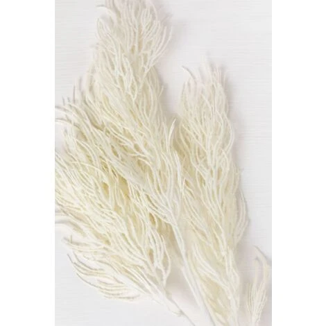 SKLUM Rami Artificiali Ramis Bianco Antico 4 SKLUM Rami Artificiali Ramis Bianco Antico - immagine 4