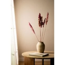 SKLUM Confezione Da 5 Rami Secchi Decorativi Dagrai Rosa Malva Pallido -Vendite VIDAXL 79489503 5