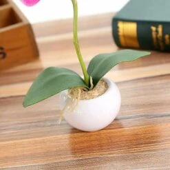 Pianta Di Simulazione Piccolo Vaso Rotondo Phalaenopsis Bonsai Fiore Di Simulazione Ornamenti Di Fiori Di Seta D -Vendite VIDAXL 81290361 3