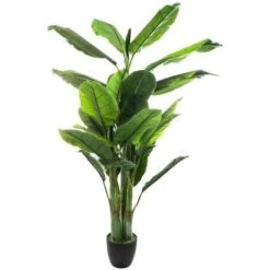 Albero Di Banane H170 - Albero Di Banane, Polietilene, Ferro, Eva, Altezza 170 Cm - Atmosphera Créateur D'intérieur