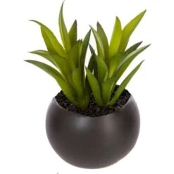 Impianto Di Grasso Magnetico D6 - Nero C - Atmosphera Créateur D'intérieur -Vendite VIDAXL 83778801 3