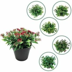 Pianta Artificiale Fiore Artificiale Piccolo Legno Di Sandalo Colorazione Rossa Vaso Bonsai Pianta Di Simulazione Fiore Di Alga D'Acqua Decorazione Domestica Bonsai Simulazione (Blu) -Vendite VIDAXL 85900977 4