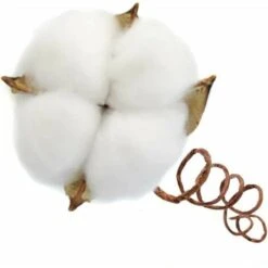 Ramo Di Cotone Stelo Naturale Fattoria Fiori Secchi Rami Di Cotone Pianta Di Cotone Fiori Secchi Artificiali (20 Pezzi). -Vendite VIDAXL 85912303 3